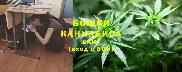 PSILOCYBIN Абинск
