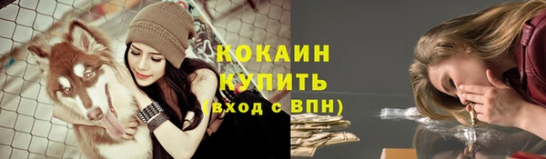 PSILOCYBIN Абинск
