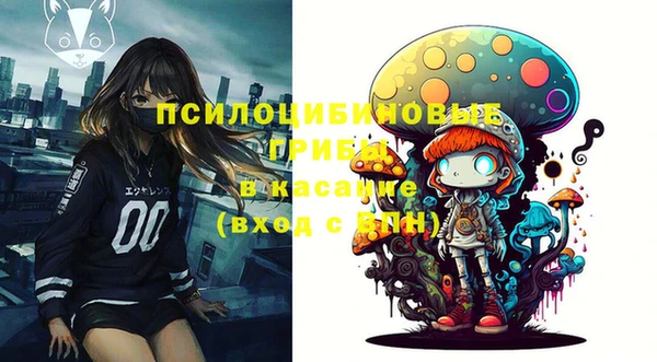 хмурый Абдулино